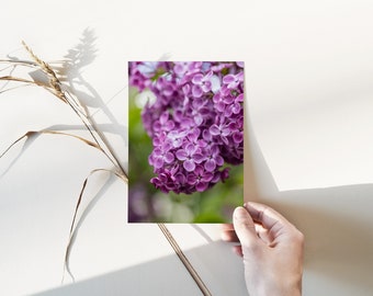 Purple Lilacs | 4x6, 5x7 Postcard Prints, Floral Print, Gallery Wall Art, Nature Picture, Photo Home Decor, Gifts for Her