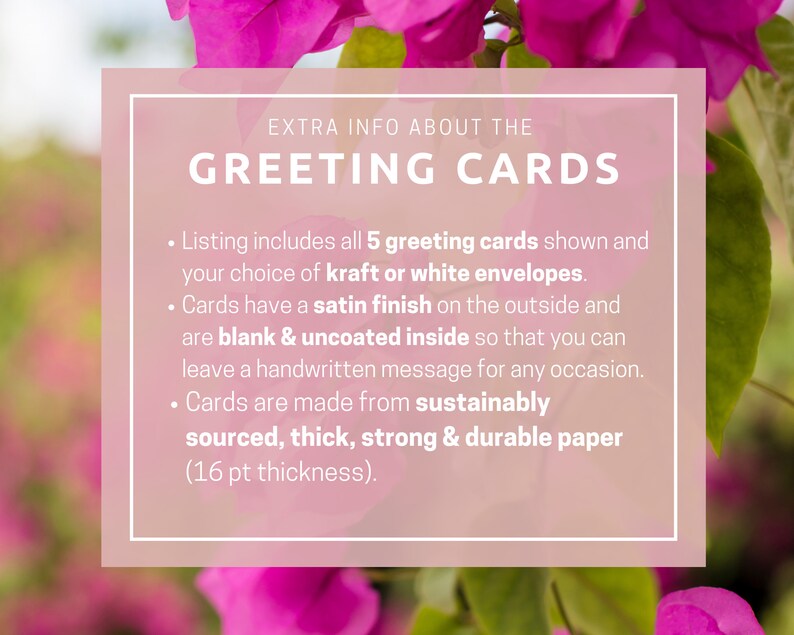 Set of 5 Blank Assorted Greeting Cards With Envelopes - Etsy