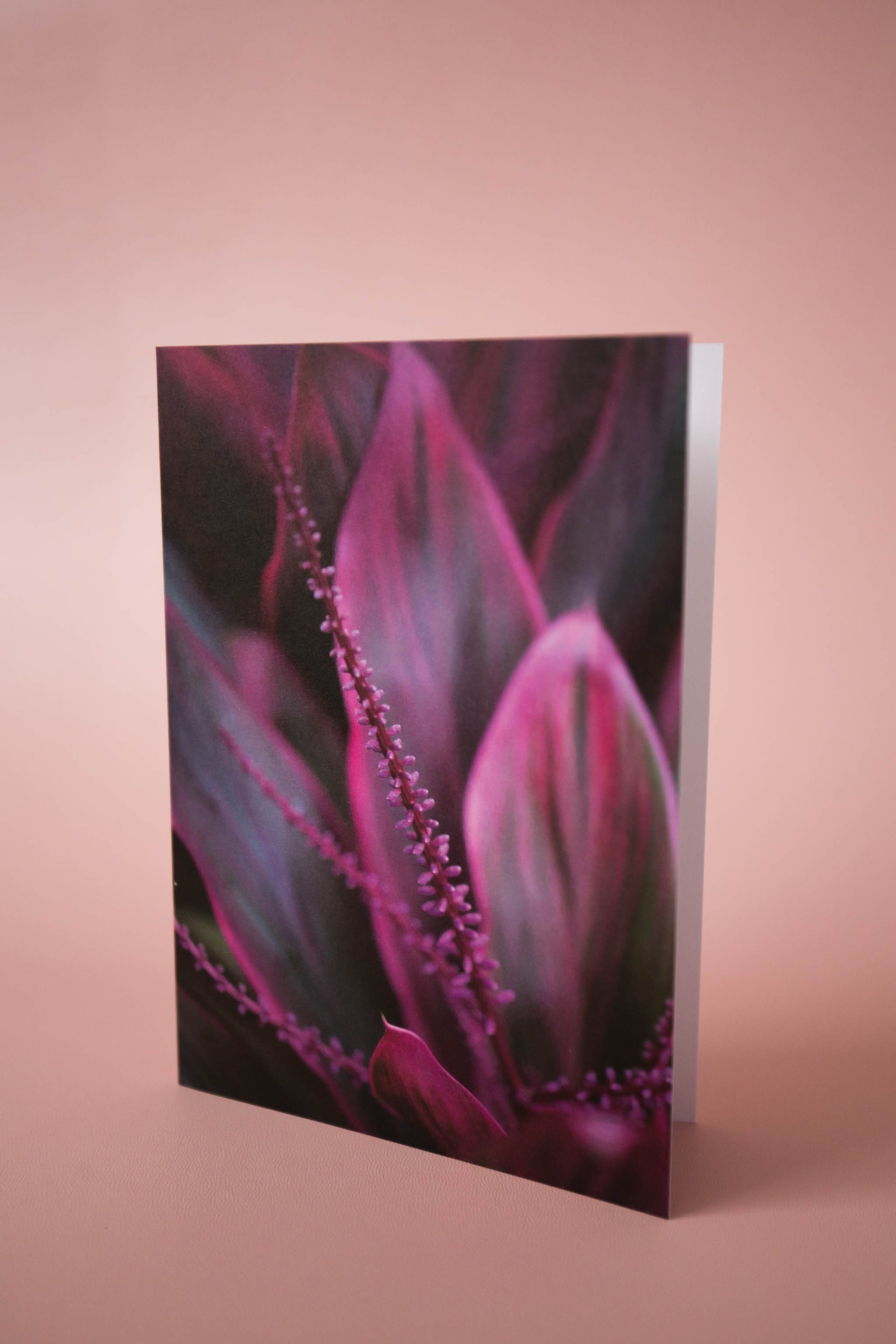 Set of 5 Blank Assorted Greeting Cards With Envelopes - Etsy