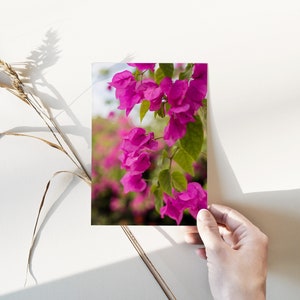 Seamless floral pattern with pink bougainvillea flower on climbing twigs   Art Board Print for Sale by LINAcrave