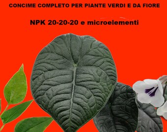 Concime completo per piante verdi e da fiore - NPK 20-20-20 e microelementi - 50 grammi