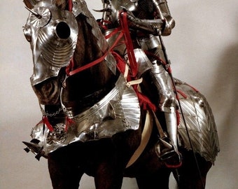 Medieval Horse Armor of  16th Century German Armor Suit Costume