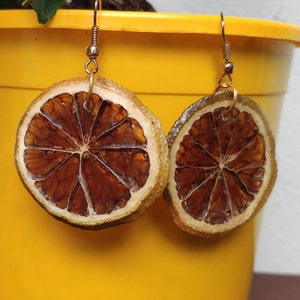 Pendientes de fruta con rodajas de lima, pendientes de fruta deshidratados, pendientes de fruta de resina