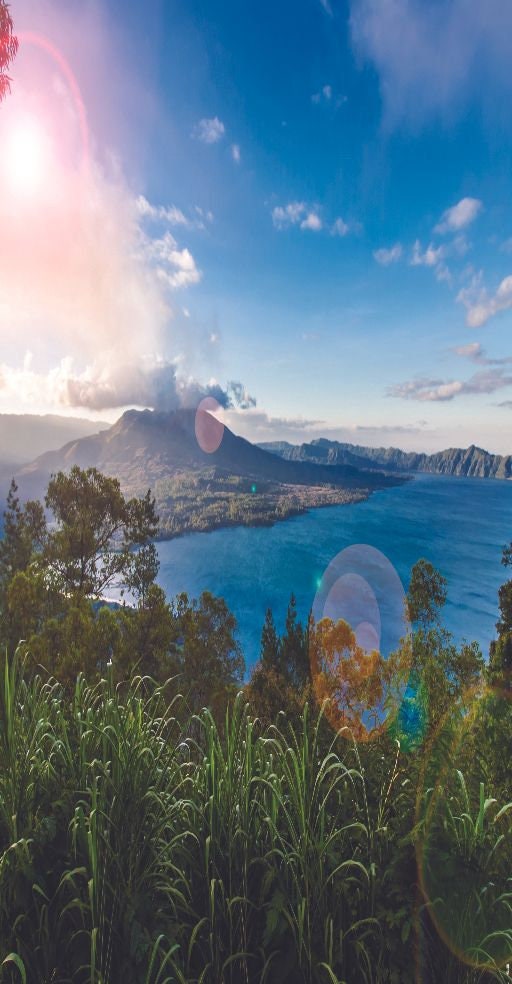 Szenerie Bedruckter Vorhang / Drapes für Wohnzimmer Esszimmer | Etsy