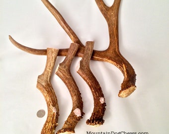 May include: Four antler dog chews of varying sizes. The antlers are a natural brown color and have a rough texture. The chews are arranged in a pile on a white surface. The text "MountainDogChews.com" is visible in the lower right corner of the image.