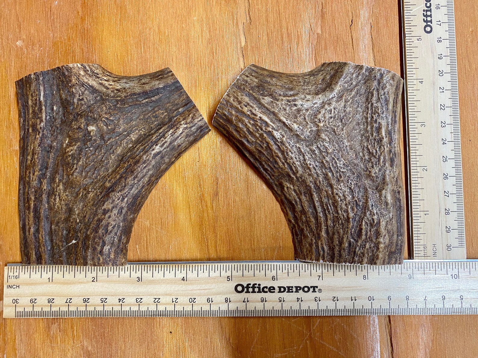 Moose Antler Pistol Grip Blanks Etsy