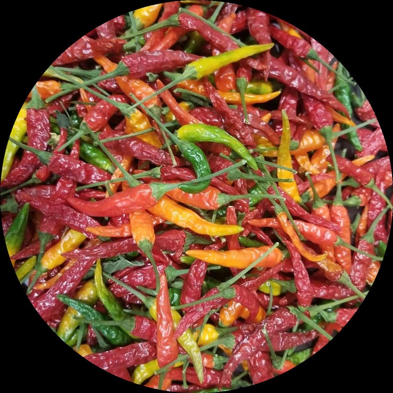 Thai Chili Pepper Seeds 98 Germination FREE SHIPPING Etsy