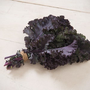 Scarlet Kale Seeds