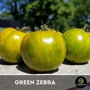 Green Zebra Tomato Seeds