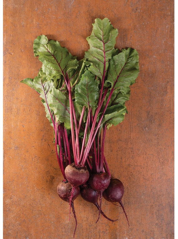 Early Wonder Tall Top Beet Seeds - Etsy