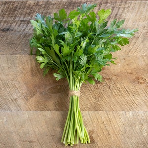 Flat Leaf Italian Parsley Seed- Peione Parsley