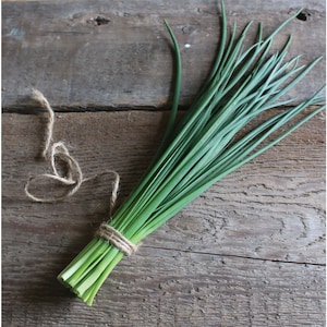 Staro Chive Seeds