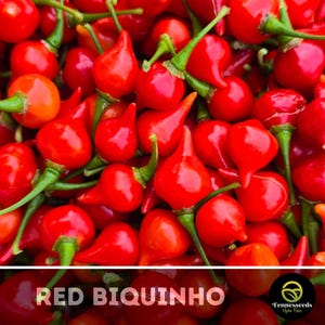 Biquinho Red Pepper Seeds