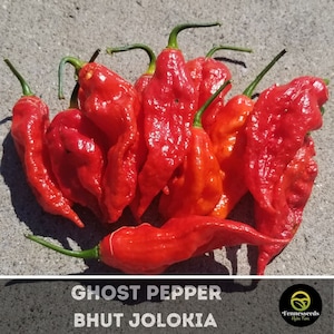 Ghost Pepper Seeds