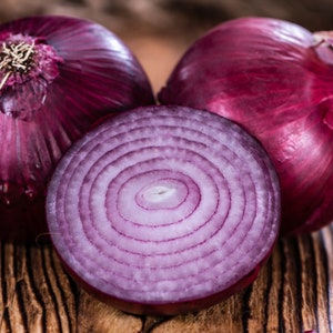 Red Onion Seeds - Red Creole