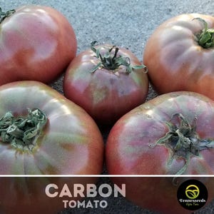 Carbon Tomato Seeds
