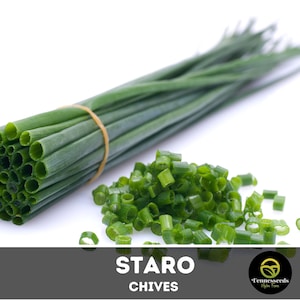 Staro Chive Seeds