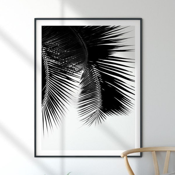 Palm Leaf Photography Print, Printable wall Art, Black and White Palm tree, Botanical art print, Plants home decor, Plants wall art