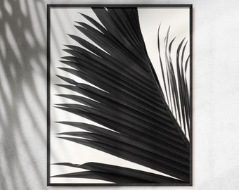 Coconut Palm Leaf Print, Printable wall Art, Black and White Palm tree, Botanical art print, Plants home decor, Plants wall art