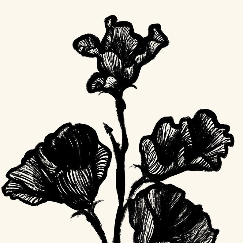 May include: Black and white line art illustration of a flower with four petals. The flower is drawn in a stylized, almost abstract way, with the petals resembling a series of overlapping lines.