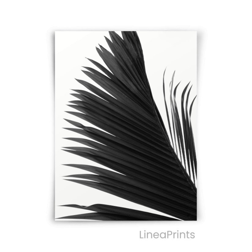 Coconut Palm Leaf Print Printable Wall Art Black and White - Etsy