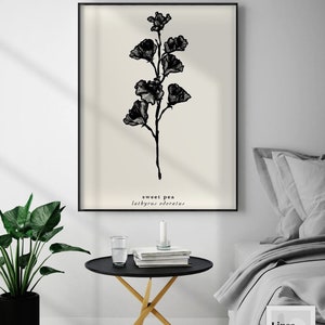 May include: Black and white line art print of a sweet pea flower with the text "sweet pea lathyrus odoratus" below the image. The print is framed and hanging on a white wall above a black side table with a glass of water and books on top.