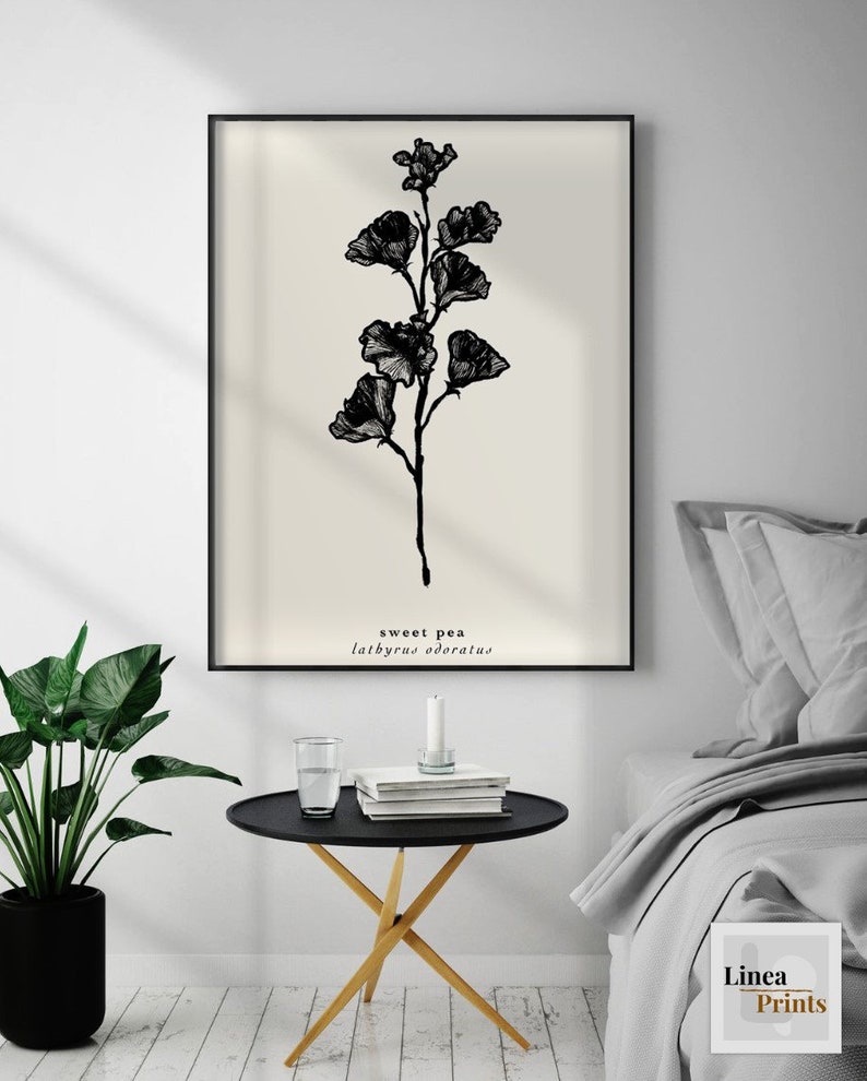 May include: Black and white line art print of a sweet pea flower with the text "sweet pea lathyrus odoratus" below the image. The print is framed and hanging on a white wall above a black side table with a glass of water and books on top.