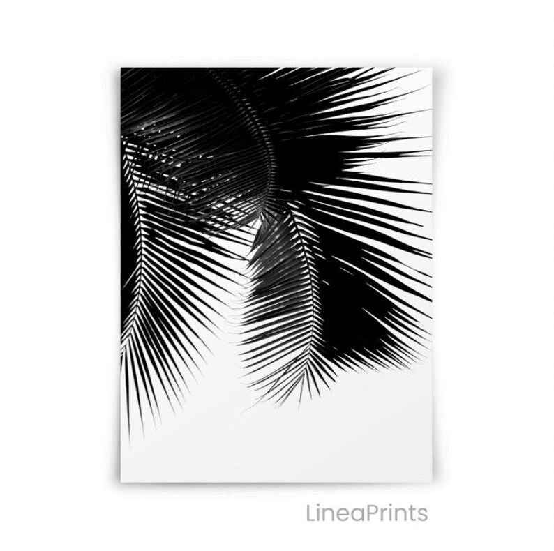 Palm Leaf Photography Print Printable Wall Art Black and | Etsy