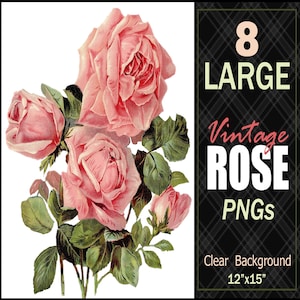 8 Large Vintage Roses .PNGs Clipart Clip Art/12&quot;x15&quot;/Big Huge Transparent Clear Background Flowers Pink Red Decoupage Antique Download