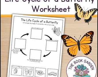 Cykl życia motyla – arkusz ćwiczeń: ćwiczenia naukowe do druku dla dzieci (plik PDF)