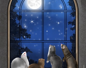 Ferrets Looking At The Moon Art Print