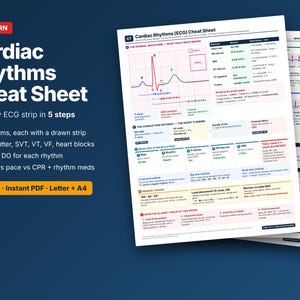 Puede incluir: Una hoja de referencia de tres páginas sobre ritmos cardíacos NCLEX-RN impresa en papel blanco. El documento presenta un diagrama detallado de la onda ECG, tablas de conducción y pasos para el análisis del ritmo, organizados en secciones.