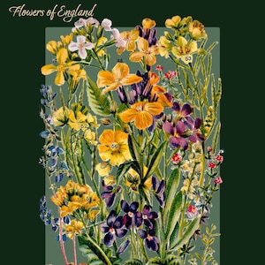 Afdrukbare Victoriaanse bloemenmuurkunst. Muurbloempje en andere Engelse bloemen