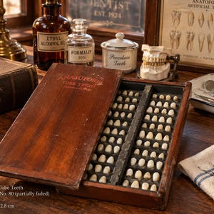 Puede incluir: Una caja de madera vintage que contiene un surtido de dientes protésicos tubulares de color blanco roto. La tapa está grabada con el texto Anatoform Tube Teeth. La caja mide 26,5 x 13,5 x 2,8 cm y presenta filas organizadas para los dientes.