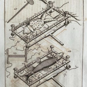 Antique original engraving dated 1771. Rare.