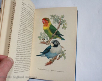 Vintage boek 'Buitenlandse Vogels voor Kooi en Volière. Prachtig geïllustreerd.