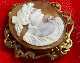 Antique cameo brooch, gift boxed late 19th century.