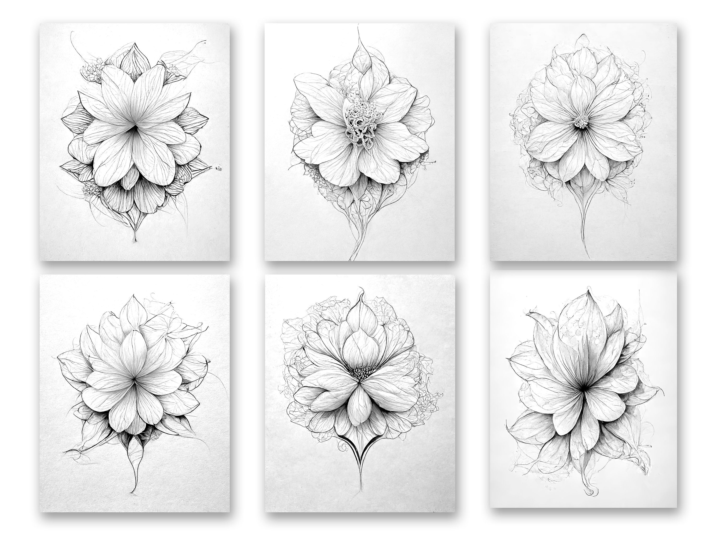 Fantastic Flowers 24 Printable Flower Drawing Pages for Painting or