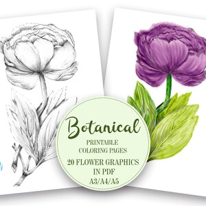 20 páginas imprimíveis com desenhos de flores para pintar e colorir
