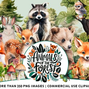 Introducing "Forest Animals" - a captivating collection of 350+ PNG Images | For Commercial Use