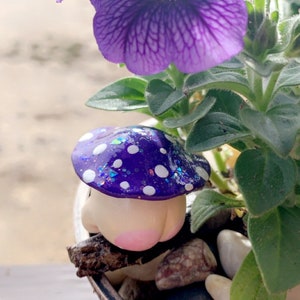 Purple Mushroom Booty