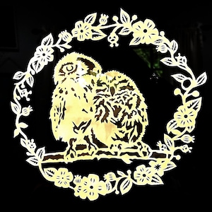 Owl Love