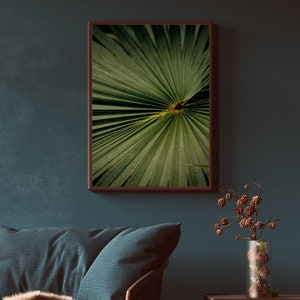 Palm Details Print