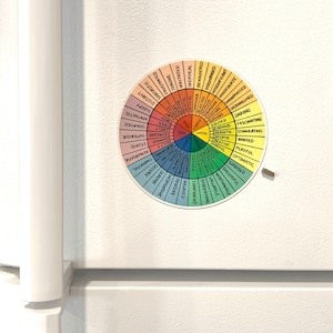 5&quot; Wheel of Emotions Magnet