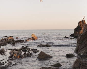 Corona Del Mar Sunset Druck: Newport Beach Wanddekor