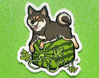 Shiba on Square Watermelon Vinyl Sticker Decal