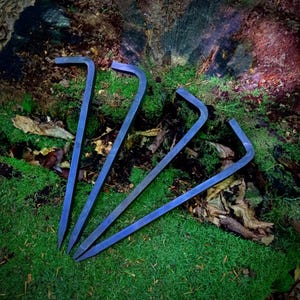 May include: Four blue metal tent pegs with a bent hook design are arranged on green moss and fallen leaves. The pegs are angled towards the centre, with a dark tree stump in the background.