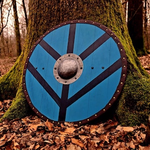 May include: A circular, blue wooden shield featuring black geometric patterns and a central metal boss. The shield has a brown leather trim with brass studs. It rests against a moss-covered tree trunk in a woodland environment.