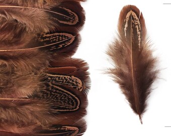 Natural Pheasant Plumage Feathers - Hair Feathers - Dreamcatcher Feathers - Craft Feathers -1