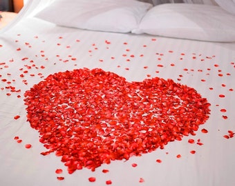 Rosenblüten | Hochzeit Blütenblätter | Romantisches Dekor | Valentinstag Dekor | 1000ct Stoff Rote Rosenblätter